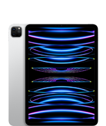 11‑inch iPad Pro (4e generatie)