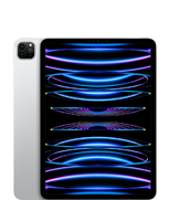 11‑inch iPad Pro (4e generatie)